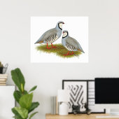 Chukar Partridge Pair Poster (Thuiskantoor)