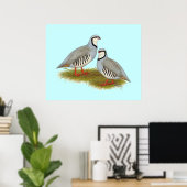 Chukar Partridge Pair Poster (Thuiskantoor)