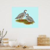 Chukar Partridge Pair Poster (Keuken)