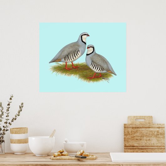 Chukar Partridge Pair Poster (Keuken)