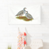 Chukar Partridge Pair Spandoek (Insitu)