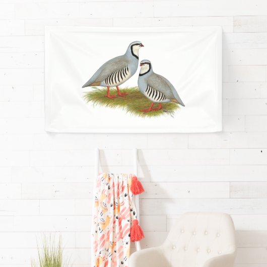 Chukar Partridge Pair Spandoek (Insitu)
