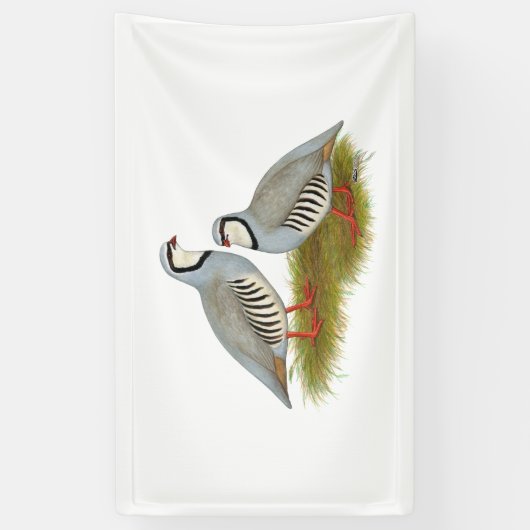 Chukar Partridge Pair Spandoek (Verticaal)