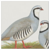 Chukar Partridge Pair Stof (Close Up)