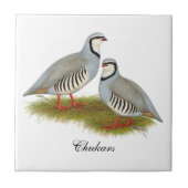 Chukar Partridge Pair Tegeltje (Voorkant)