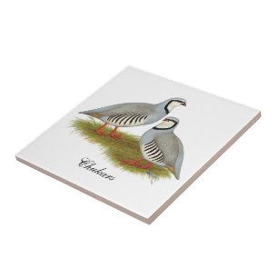 Chukar Partridge Pair Tegeltje