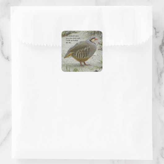 Chukar Partridge Vierkante Sticker (Tas)