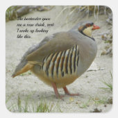 Chukar Partridge Vierkante Sticker (Voorkant)