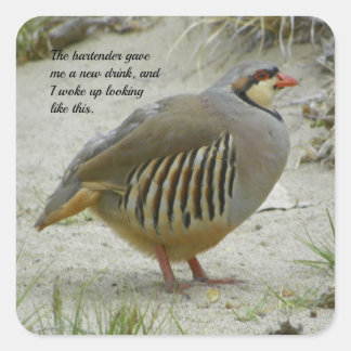 Chukar Partridge Vierkante Sticker