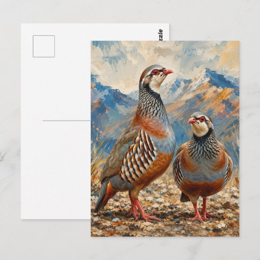 Chukar Patrijzen Paar Kunst Briefkaart (Voorkant / Achterkant)