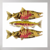 Chum Salmon Art Poster (Voorkant)