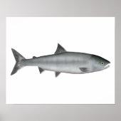 Chum Salmon Ocean Poster (Voorkant)
