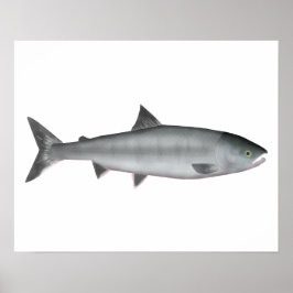 Chum Salmon Ocean Poster