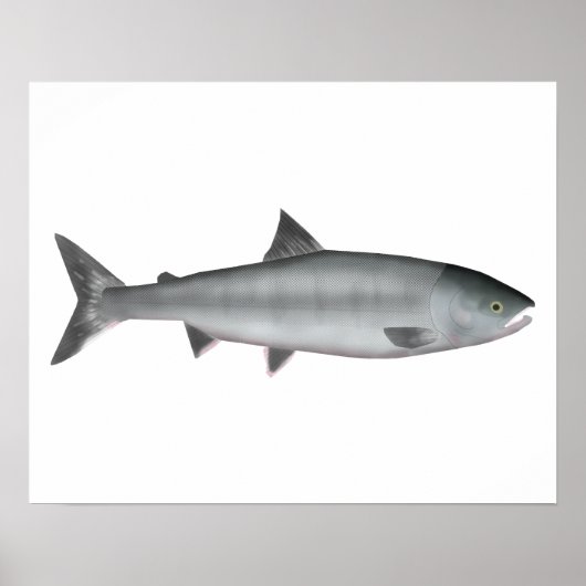 Chum Salmon Ocean Poster (Voorkant)