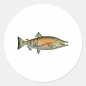 Chum Salmon (paaifase) Ronde Sticker (Voorkant)