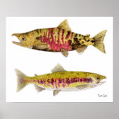 Chum Salmon Poster (Voorkant)