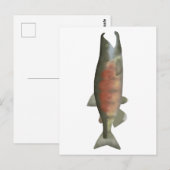 Chum Salmon - Speenfase Briefkaart (Voorkant / Achterkant)