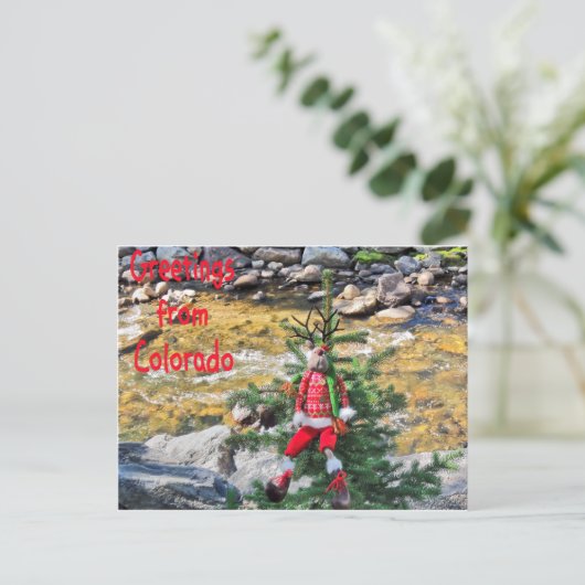 "Chump Christmas" Briefkaarten (Staand voorkant)