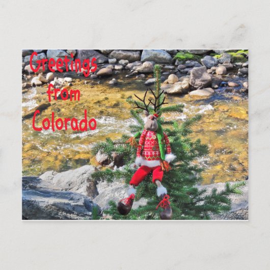 "Chump Christmas" Briefkaarten (Voorkant)