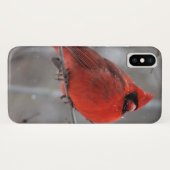 Chunky Bright Red Male Kardinaal in wintersneeuw Case-Mate iPhone Case (Achterkant (horizontaal))