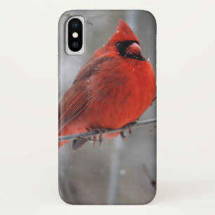 Chunky Bright Red Male Kardinaal in wintersneeuw Case-Mate iPhone Case