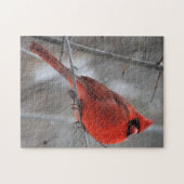 Chunky Bright Red Male Kardinaal in wintersneeuw Legpuzzel (Horizontaal)