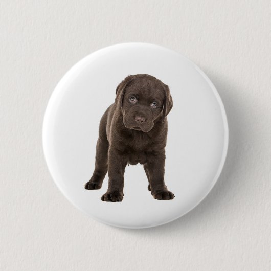 Chunky Chocolate Labrador Puppy Ronde Button 5,7 Cm (Voorkant)