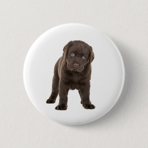 Chunky Chocolate Labrador Puppy Ronde Button 5,7 Cm