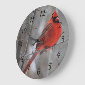 Chunky Red Male Kardinaal op kantoor in wintersnee Grote Klok (Hoek)
