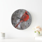 Chunky Red Male Kardinaal op kantoor in wintersnee Grote Klok (Huis)