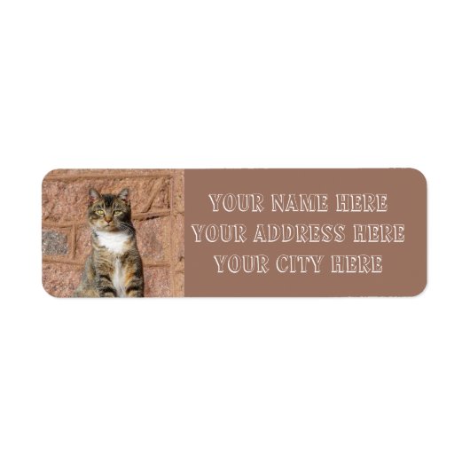 Church Cat Etiket (Voorkant)