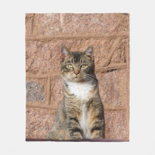 Church Cat Fleece Deken (Voorkant)