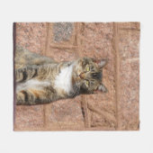 Church Cat Fleece Deken (Voorkant (Horizontaal))