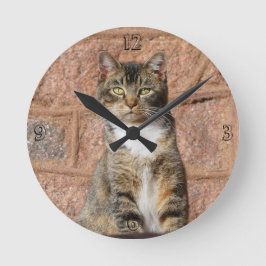 Church Cat Ronde Klok