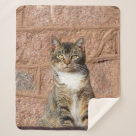 Church Cat Sherpa Deken