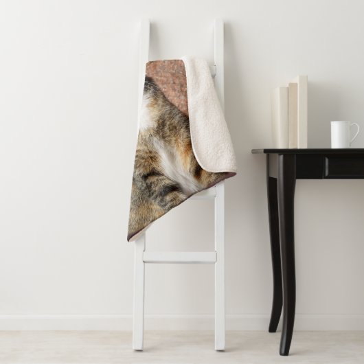 Church Cat Sherpa Deken (In situ)