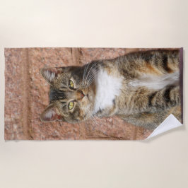 Church Cat Strandlaken