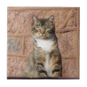 Church Cat Tegeltje (Voorkant)