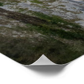 Church of Madonna della Corona Poster (Hoek)