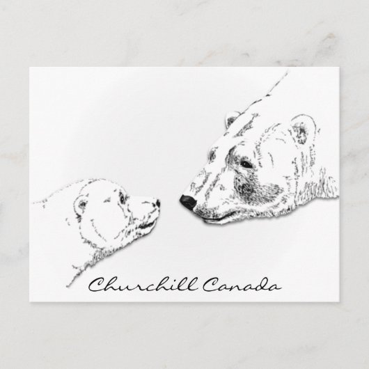 Churchill Canada Briefkaart Polar Beer Art Kaarten (Voorkant)