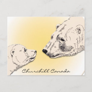 Churchill Canada Briefkaart Polar Beer Art Kaarten