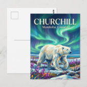Churchill IJsberen Canada Briefkaart (Voorkant / Achterkant)