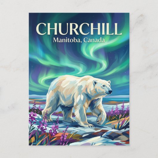 Churchill IJsberen Canada Briefkaart (Voorkant)