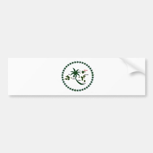 Chuuk Flag Bumpersticker (Voorkant)
