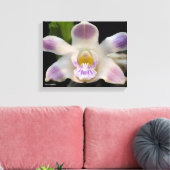 Chysis Violacea Canvas Afdruk (Insitu (Woonkamer))