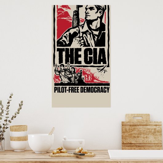 CIA Pilot-Free Democracy Poster (Keuken)