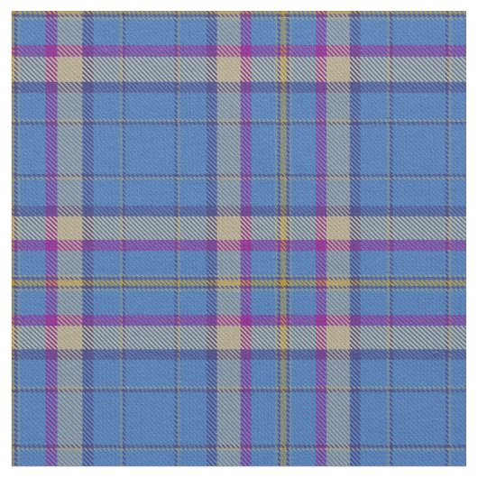 Ciam van Ely Clan Tartan Stof (Close Up)