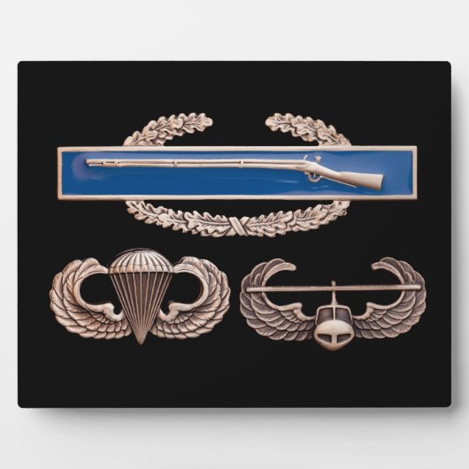 CIB Airborne Air Assault Fotoplaat (Voorkant)