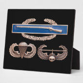 CIB Airborne Air Assault Fotoplaat (Zijkant)