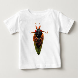 Cicada
